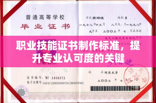六盘水职业技能证书制作标准，提升专业认可度的关键
