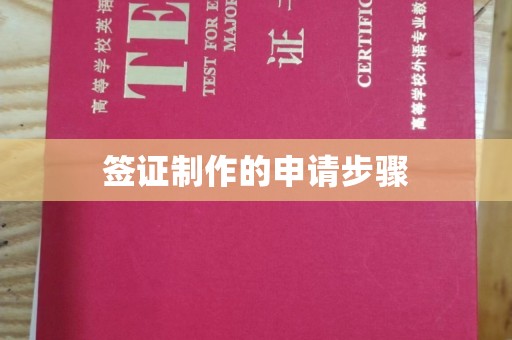 六盘水签证制作的申请步骤