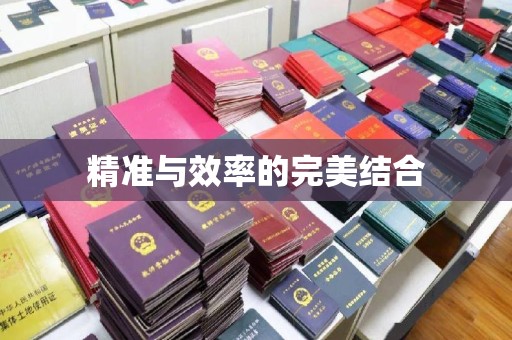 六盘水精准与效率的完美结合